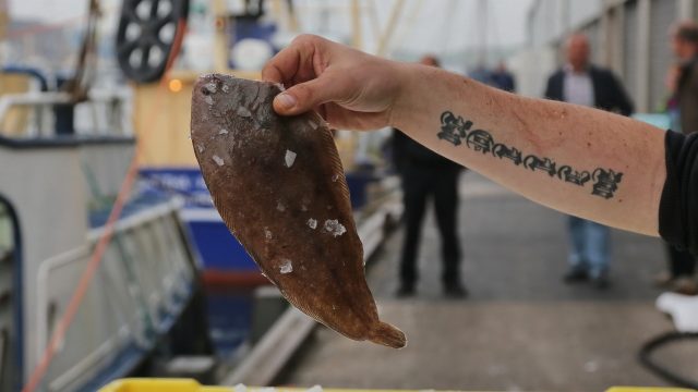 Havenfestival en Rauw aan Zee zoeken typisch IJmuidens visrecept