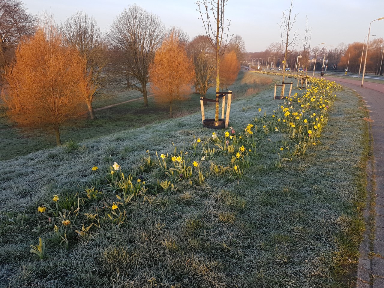 April doet wat hij wil - Jutter | Hofgeest
