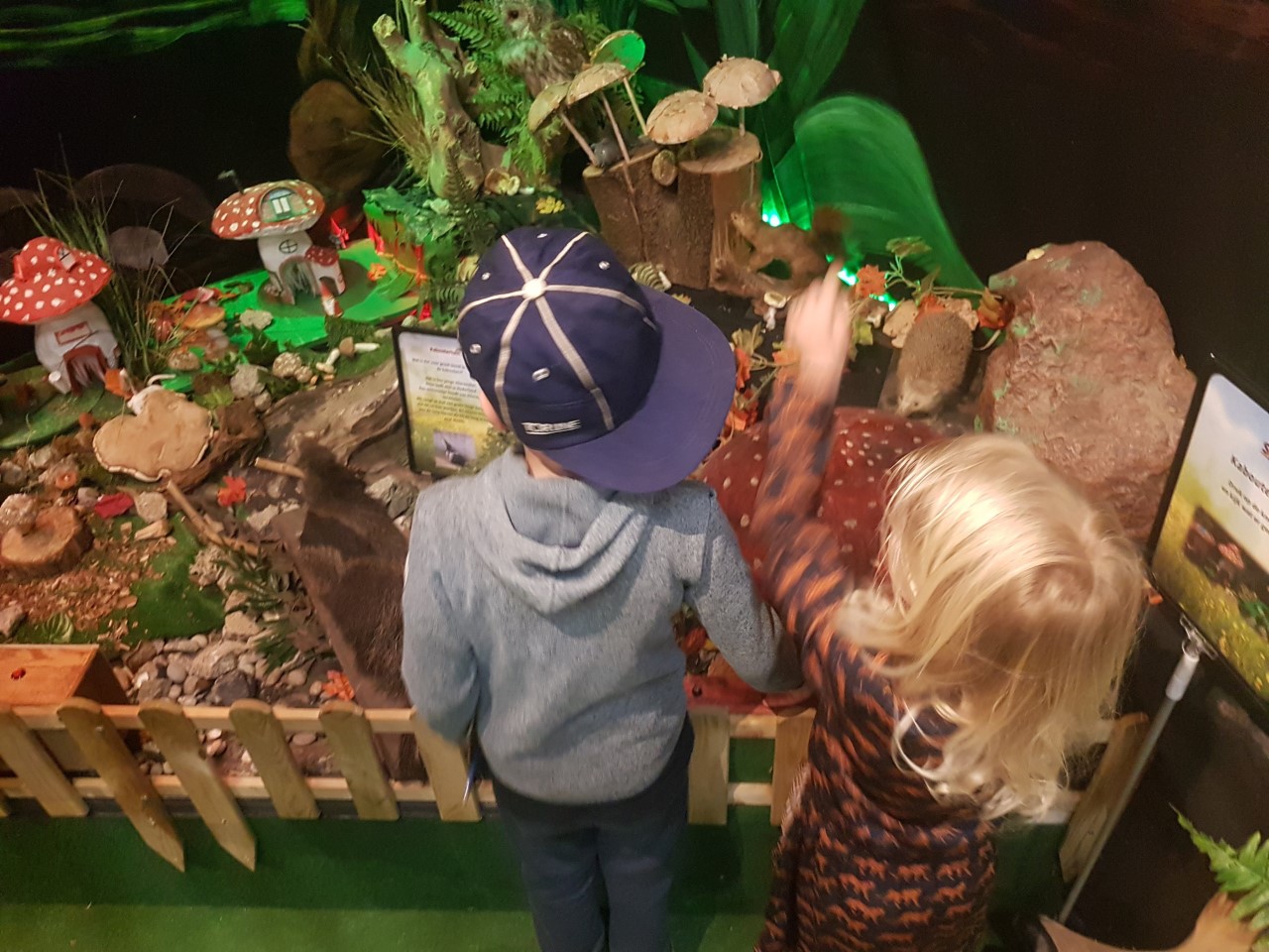 Kriebelbeestjes in Pieter Vermeulen Museum tot 3 september