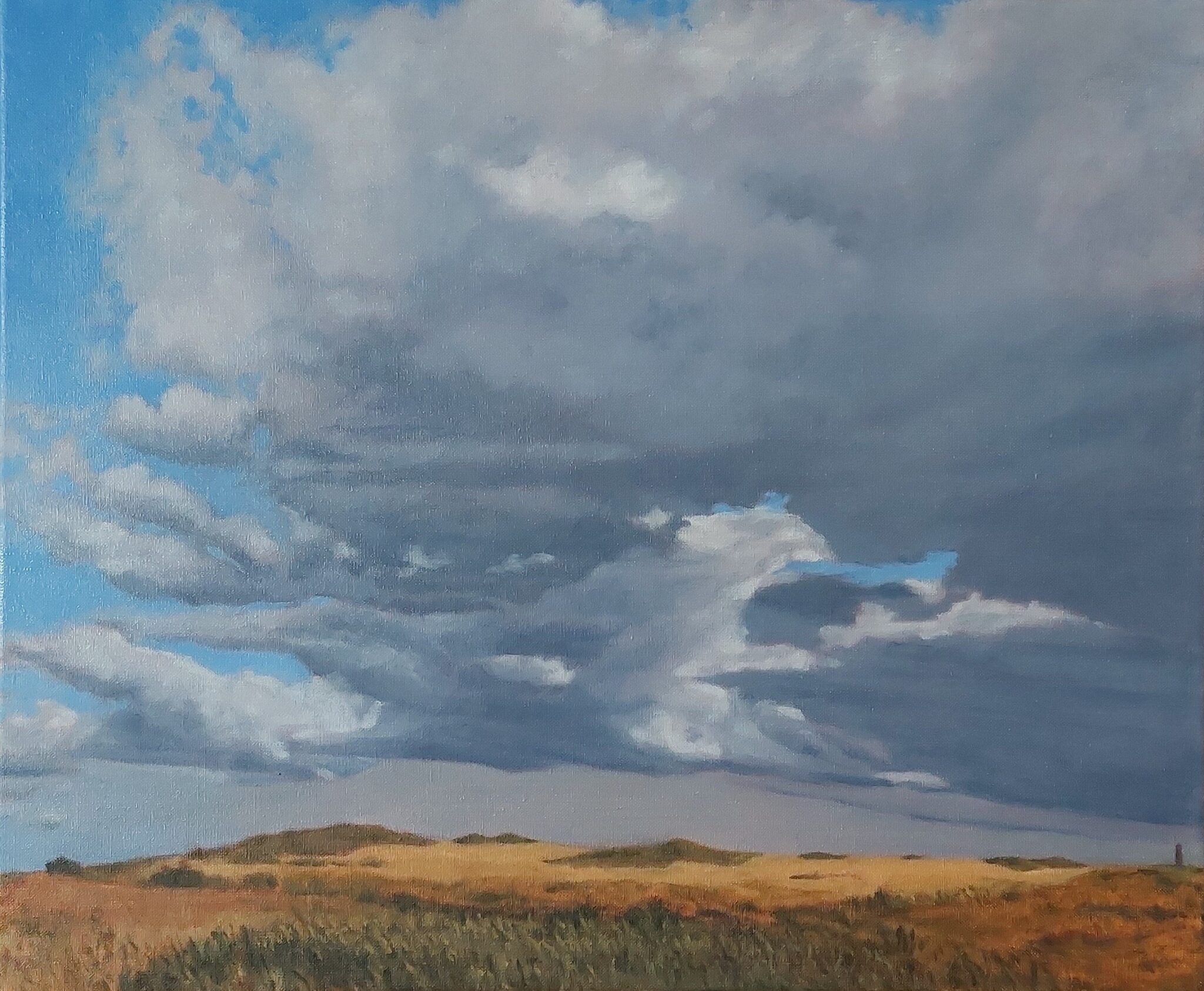 Expositie Nederlands duinlandschap in ’t Mosterdzaadje