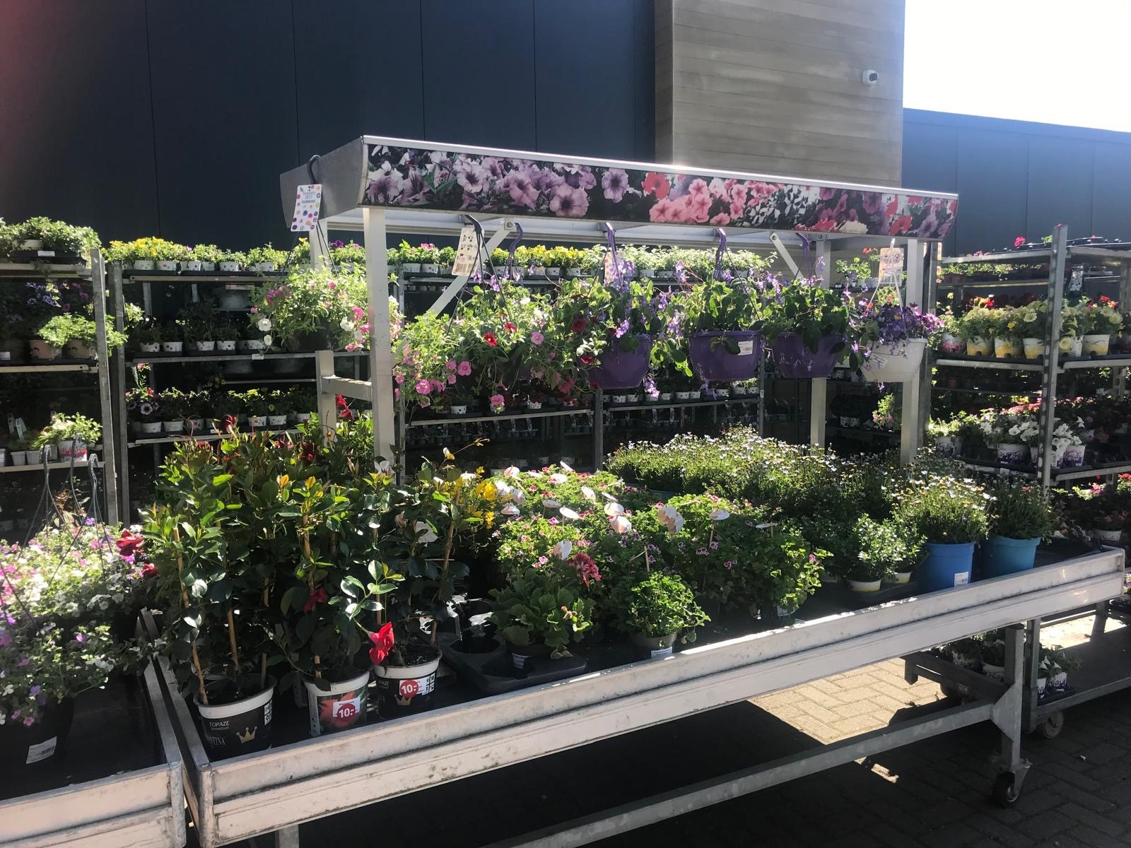 Welkoop maakt moeders blij met bloemen en planten - Jutter | Hofgeest