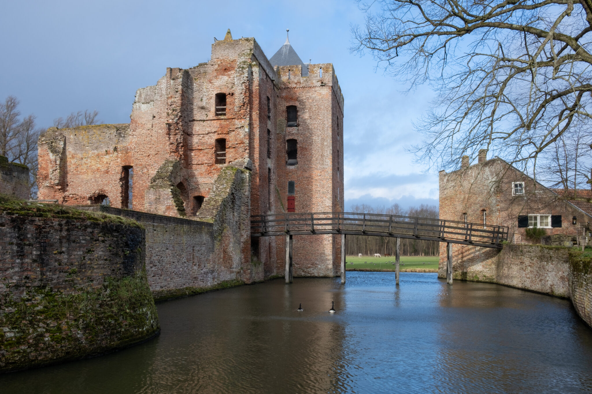 Nieuwe tentoonstelling Ruïne van Brederode