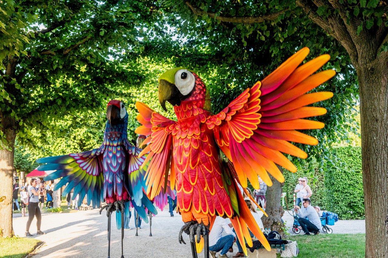 Velserbroek viert 35-jarig jubileum met tropisch feest
