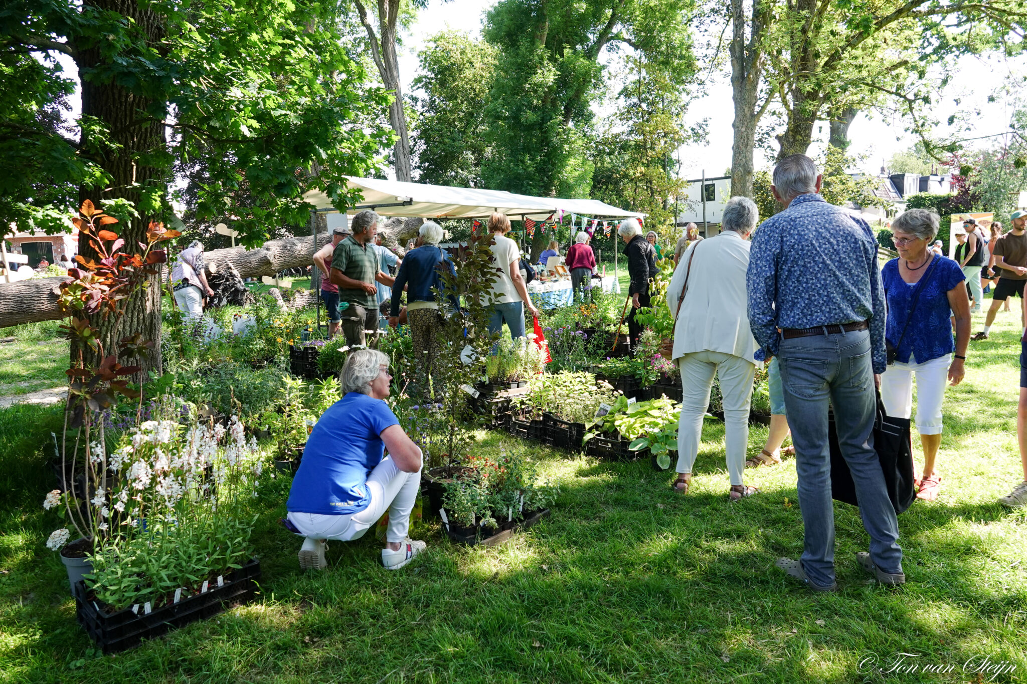 Derde editie Boer & Markt Santpoort: een fantastisch mooie dag