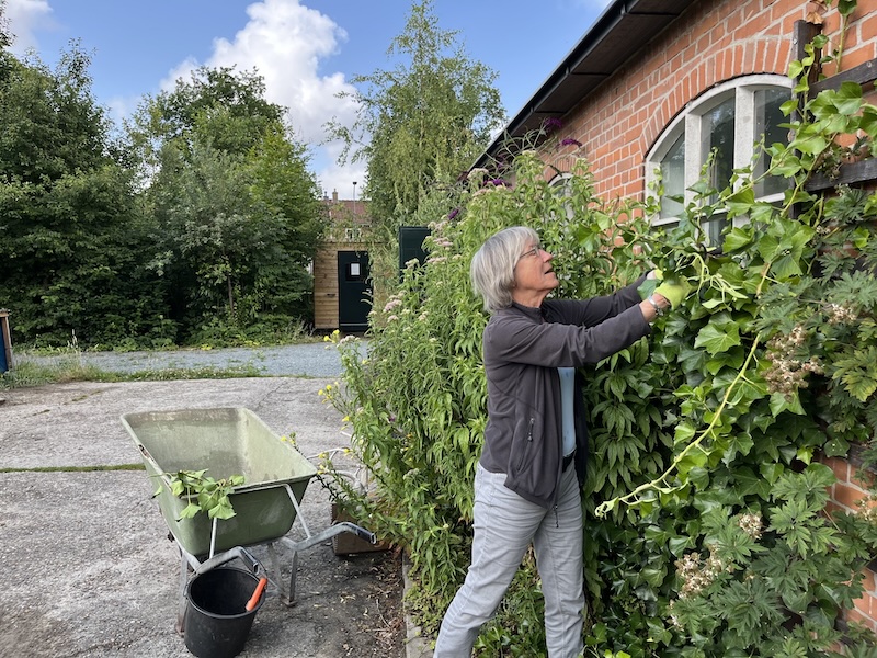 Wie versterkt het tuinteam?