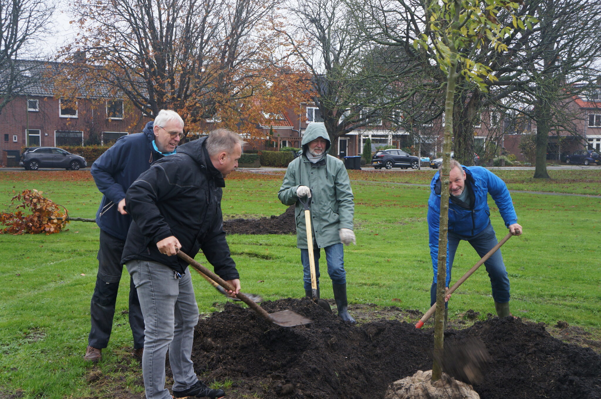 Nieuwe bomen in Santpoort dankzij project Velsen Goed Bezig