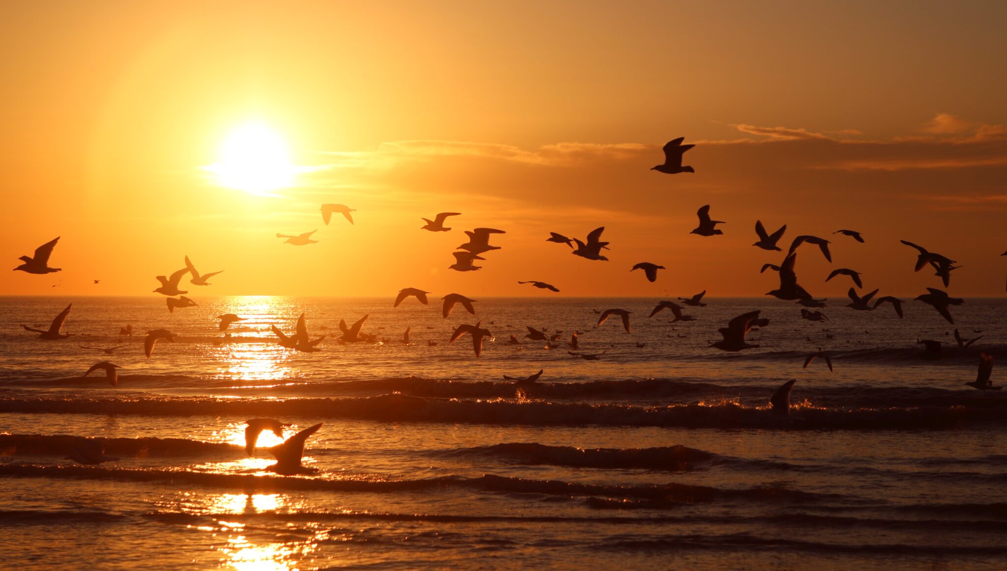 Typisch IJmuiden: novemberse zonsondergang