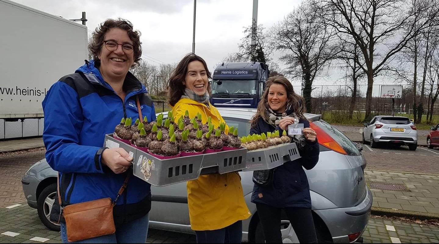 Jaarlijkse Hyacintenactie Muziekvereniging Soli