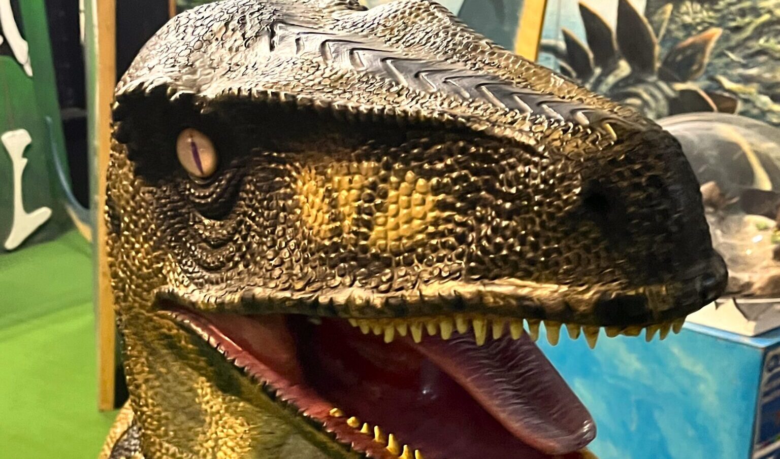 Grote toeloop bij Pieter Vermeulen Museum