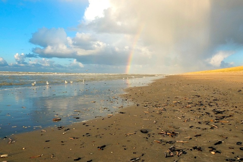 Winterse strandexcursie in IJmuiden
