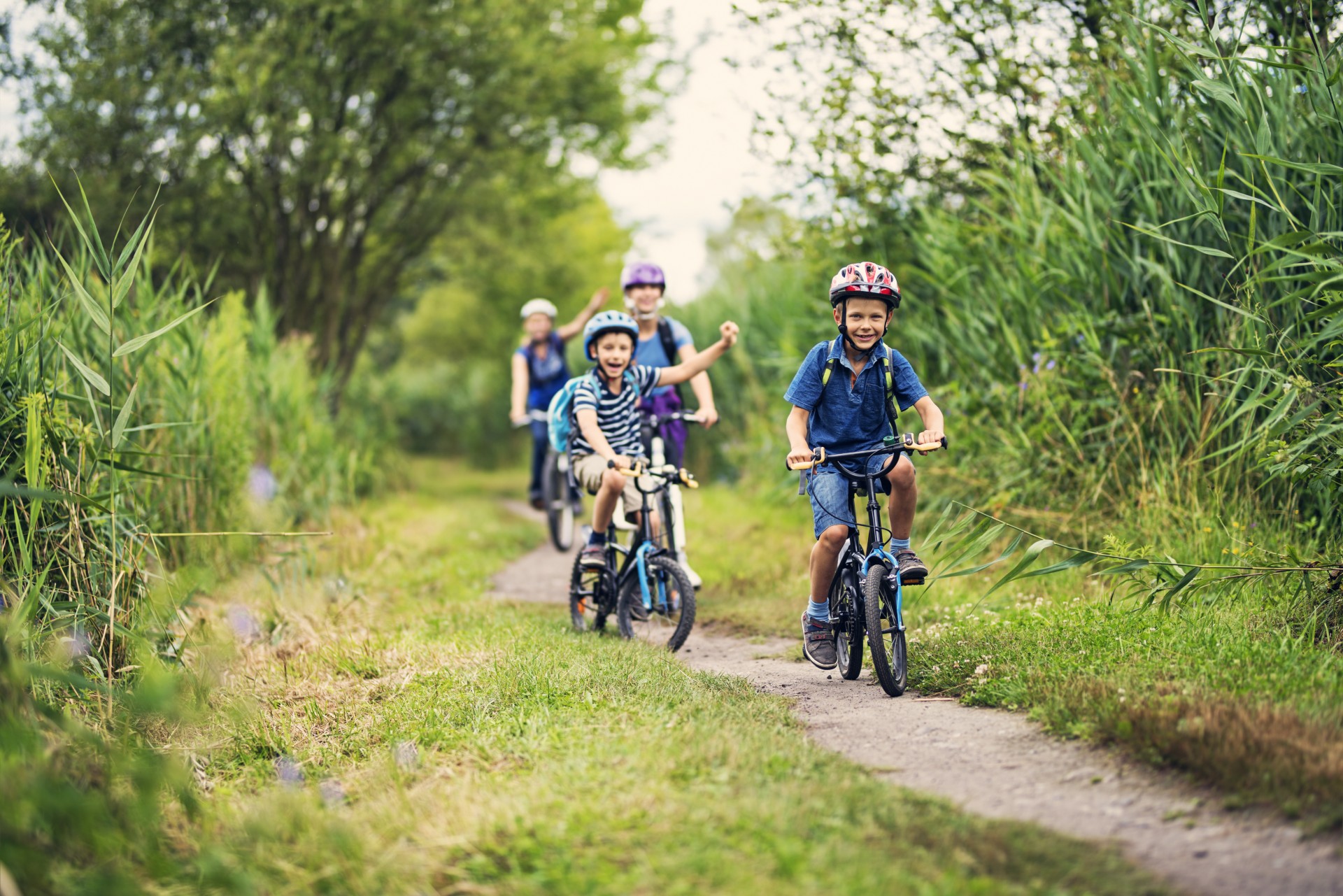 Ontdek Spaarnwoude Park 2026