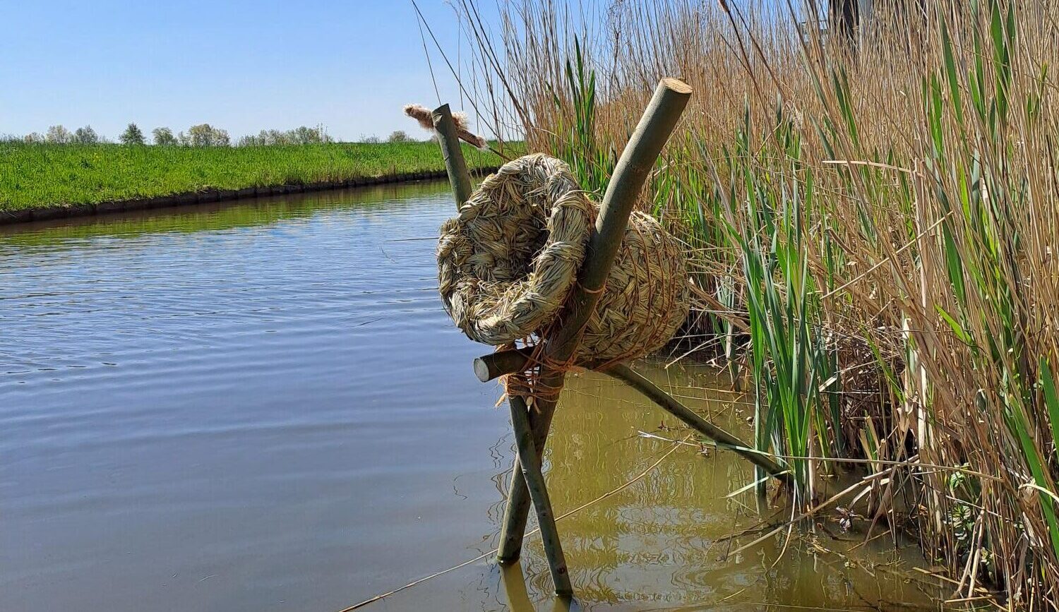 Samen Velsen is dé plek om ideeën voor de buurt werkelijkheid te laten worden