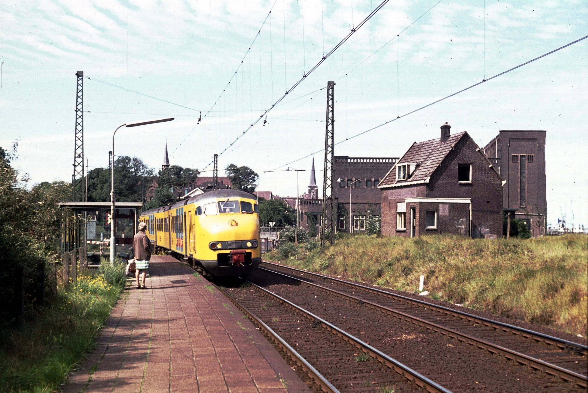 Lustrum editie Zomerfestijn in Bibliotheek IJmuiden