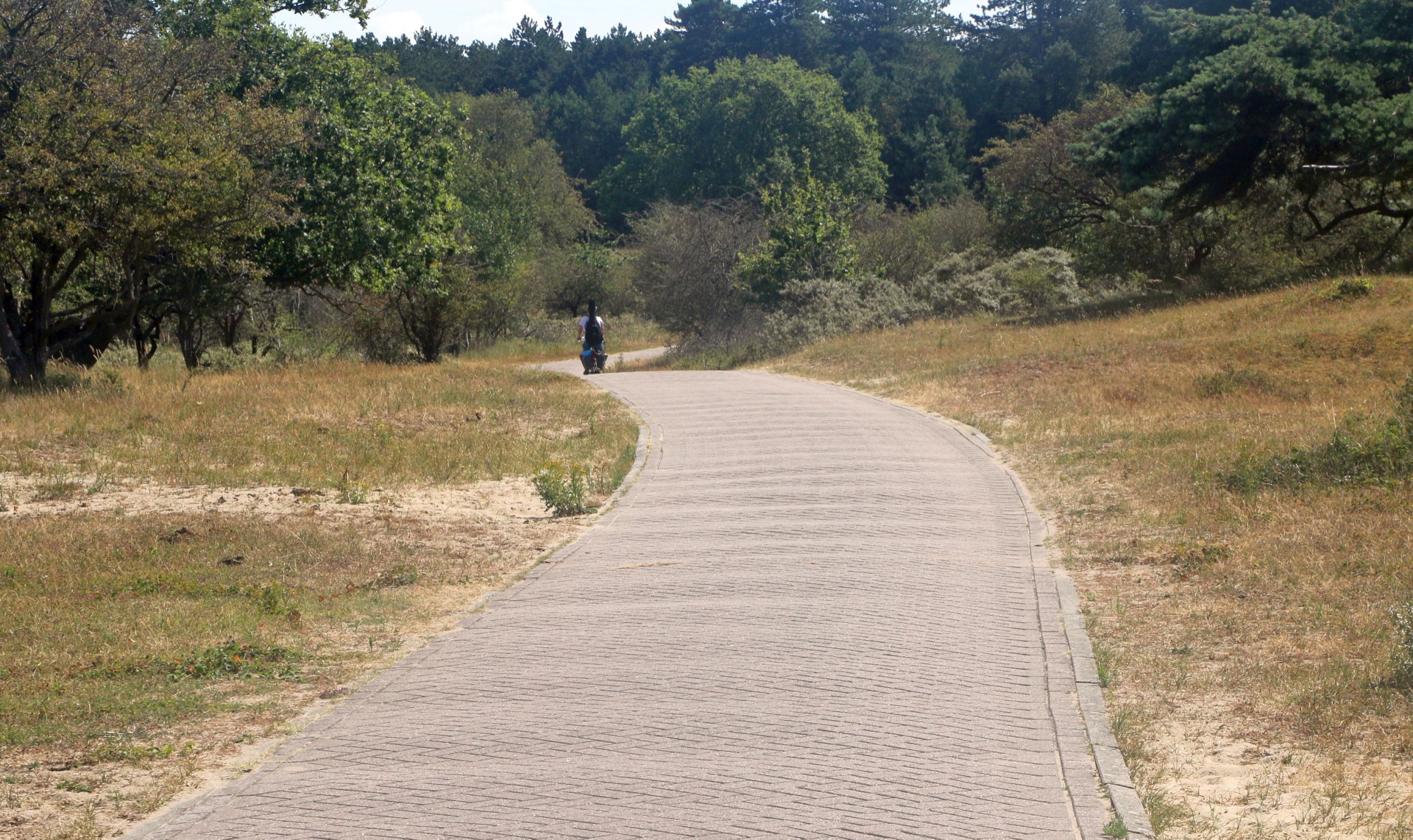 Typisch IJmuiden